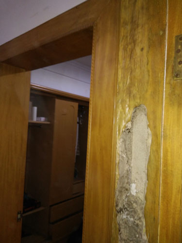 城保建议：灭治白蚁保留现场是关键=泉州灭白蚁