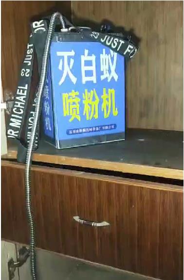 泉州市白蚁防治|专业公司防治白蚁一次多少钱